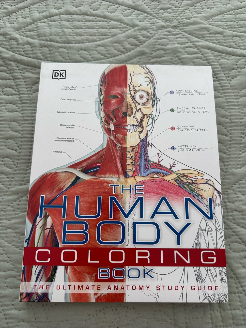 The Human Body Coloring Book The Ultimate Human Body Study Guide